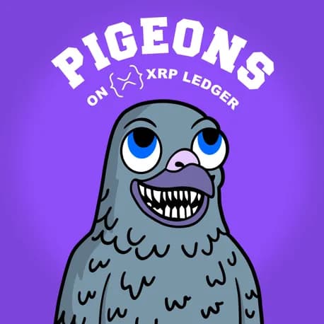 Pigeons NFT